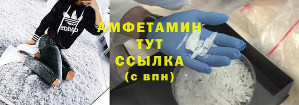 гидра Верея