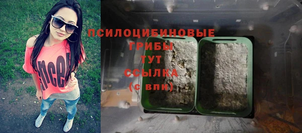 гидра Верея