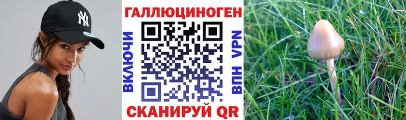 Галлюциногенные грибы прущие грибы продажа наркотиков Александровское